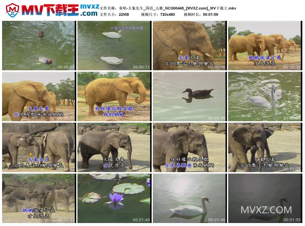 童唱-大象先生_国语_儿歌_NCG00445